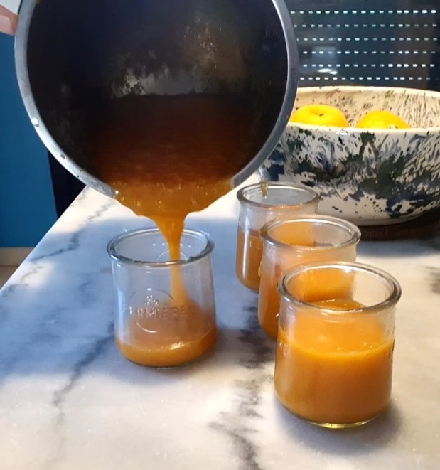 Recette compote d'abricots sans sucre ajouté Easy Soup de Moulinex